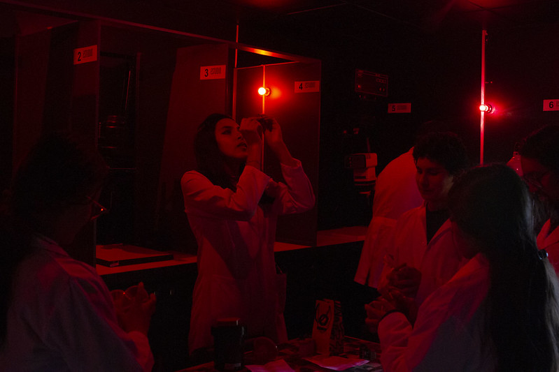 Laboratorio análogo